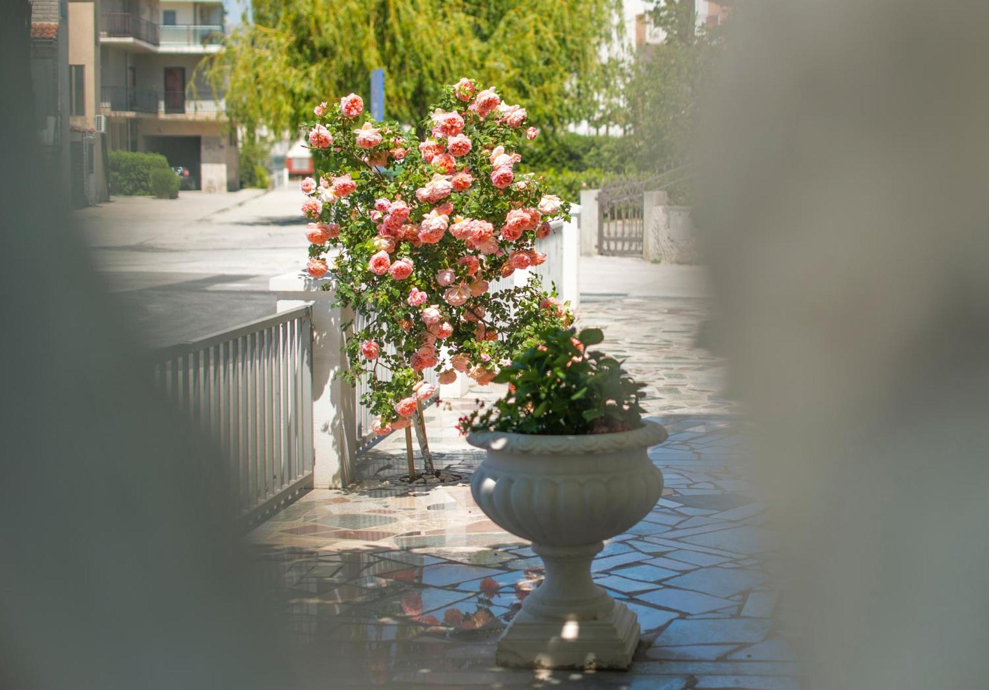 Apartments Nena Подстрана Екстер'єр фото